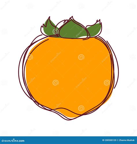 Doodle Vector Persimmon Ilustración De Fruto De Persimón Dibujado a