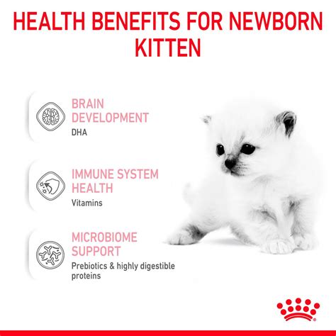 Babycat Milk – Cat Food | Royal Canin UK