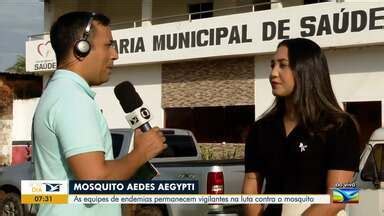 Bom Dia Mirante Equipes De Endemias Realizam Trabalho De Combate Ao