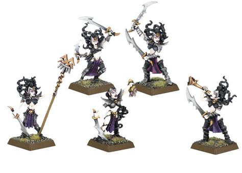 Image Dark Elf Witch Elves Command Group 6th Edition Miniatures  Warhammer Wiki Fandom