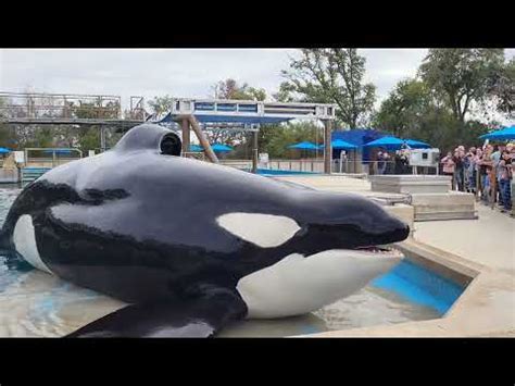 SeaWorld #seaworld - YouTube