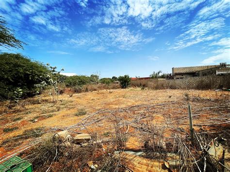 Terrain à vendre à la Somone keur immo senegal