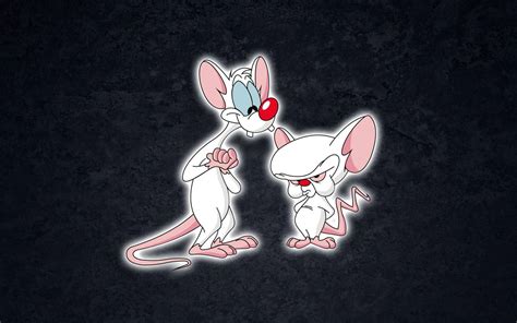 Top 999 Pinky And The Brain Wallpaper Full Hd 4k Free To Use