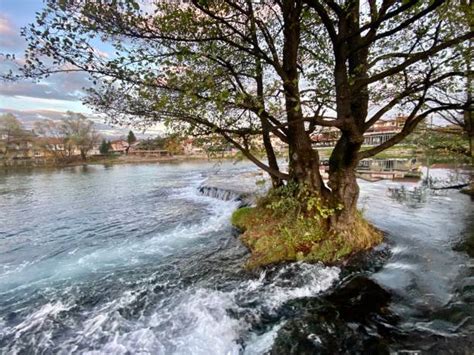 180 Una River Stock Photos Pictures And Royalty Free Images Istock