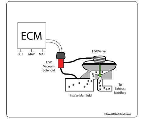 What an EGR Valve Does: Its Function Symptoms