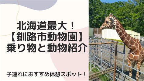 札幌駅周辺でみつけたシマエナガグッズをご紹介｜ごきげんママブログ