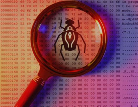 lifecycle   software bug  discovery  defense