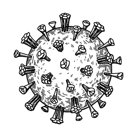Rubeola Virus