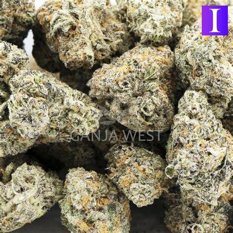 Iced Widow Craft Indica Ganja West Online Dispensary Canada