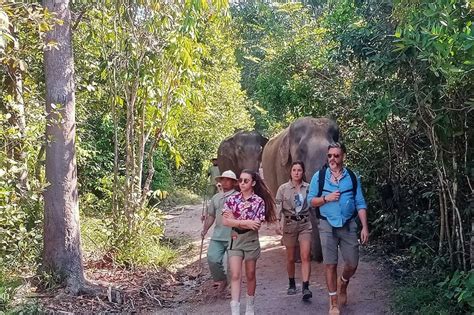 2024 Bosque De Elefantes De Kulen Y Lago Tonle Sap En Tour Privado