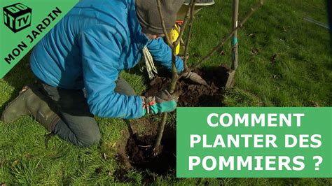 Comment Planter Un Pommier Mon Jardin YouTube