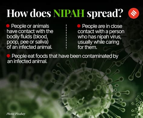 Kerala fights Nipah virus again: What are signs and symptoms? How to ...