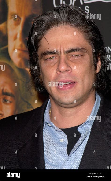 Benicio Del Toro Movies