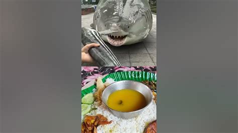 timi fish shorts ai youtube