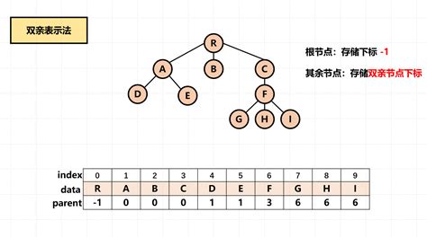 图解 数据结构树的存储结构 知乎