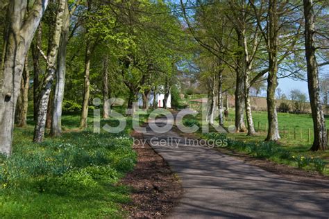 parkway stock photo royalty  freeimages