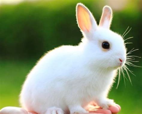 Что подарить девочке на 7 лет на День Рождения: идеальные презенты