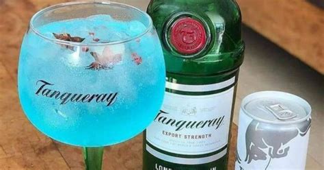 Drinks Com Gin E Energetico - Drinks com Gin: Coletânea Completa de Receitas