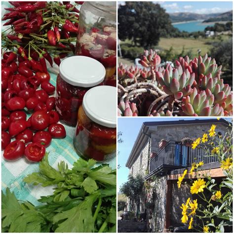 ~Tesori della terra dimenticati~... - Aia Della Foresta | Facebook