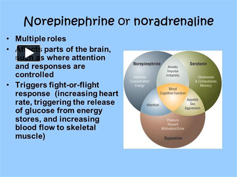 Ppt Norepinephrine Or Noradrenaline Powerpoint Presentation Free To Download Id 780c6f Mthly