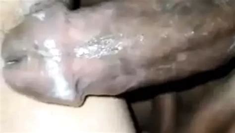 Braszou Porn Videos Sex Model Nudes XHamster