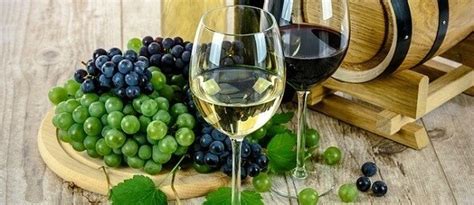 🥇 Nejlepší nealkoholické nápoje - hodnocení online | NejlepsiDrinky.cz