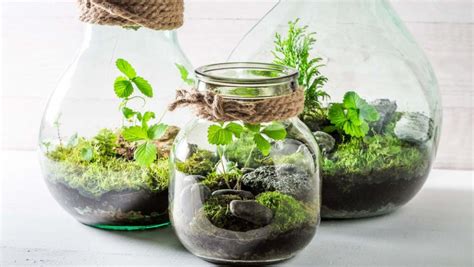 Экосистема красивые картинки (48 фото) - 48 фото