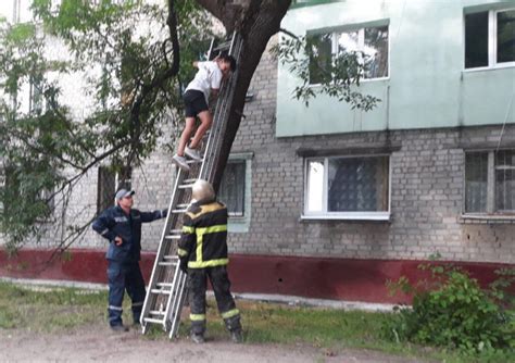 У Кременчуці рятувальники зняли з дерева 14-річного підлітка – Новинар ...