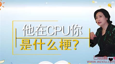 网络用语他在cpu你是什么梗？有什么意思？ 古风网络博客