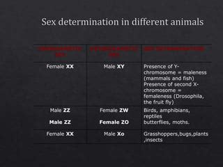Sex Determination Ppt