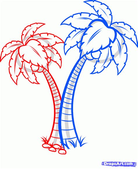 Rainforest Tree Drawing At Getdrawings Free Download