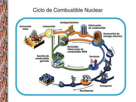 Ppt An Lisis De Reactores Y Ciclos De Combustible Nuclear Powerpoint