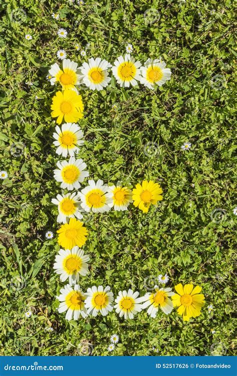 Alfabeto Da Flor Da Letra E Foto De Stock Imagem De Anunciar Flor