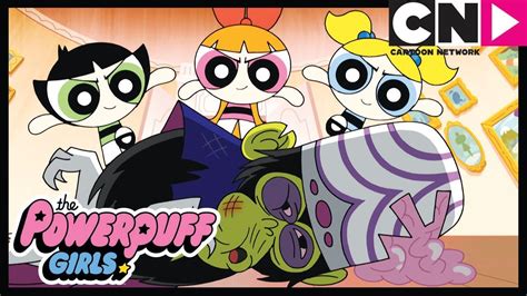 New Powerpuff Girls Mojo Jojo Protection Progamme Cartoon Network