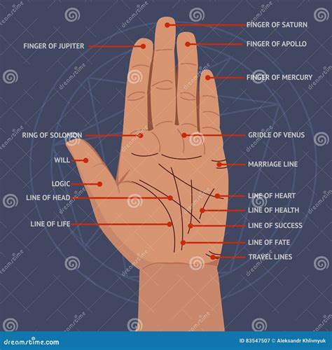 Hand Lines For Palmistry Is Isolated On White Background Flat