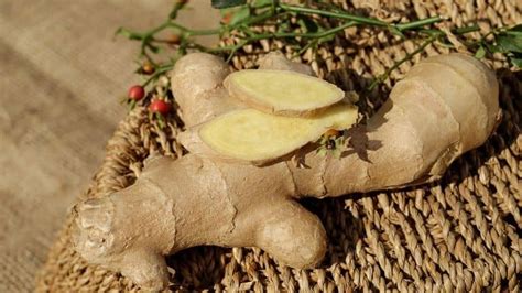 Does Ginger Increase Testosterone Levels And Boosts Sex