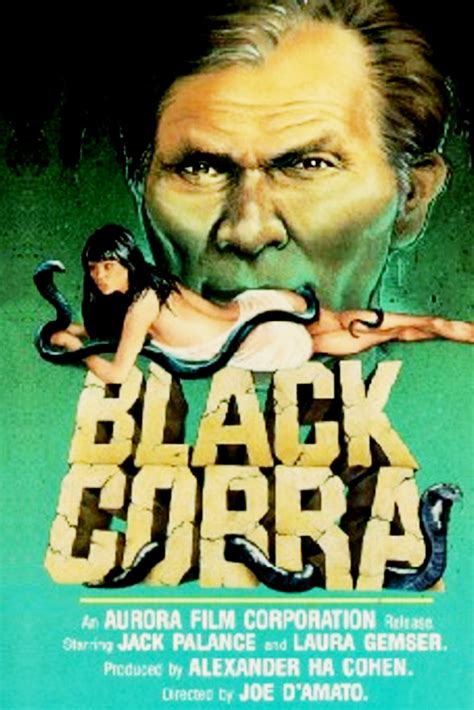 Black Cobra Woman - Humane Hollywood