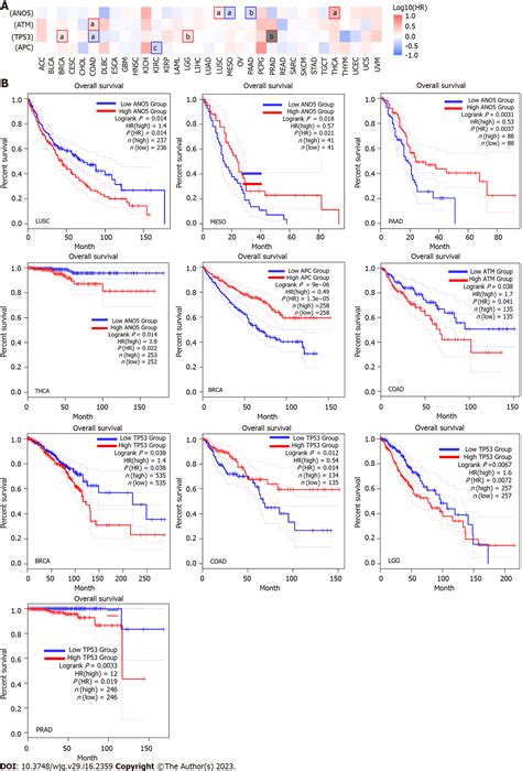 Future therapeutic implications of new molecular mechanism of colorectal cancer