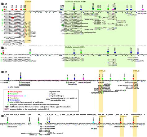 Alignment Of Amino Acid Sequences Of Arabidopsis H12 And H11 With