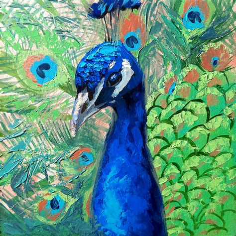 Peacock Acrylic Paintings