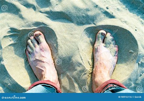 Naked Sand Dunes In Hokianga Harbour Stock Photography CartoonDealer 72541970