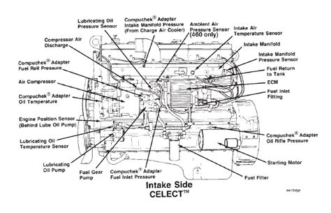 Cummins N14 Cooling System Diagram How To Prime Cummins M11