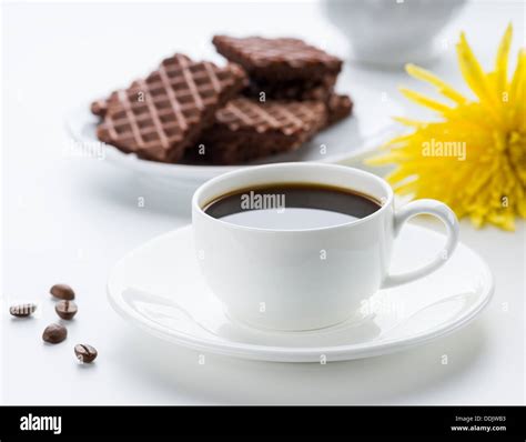 Hot Biscuits Flower Hi Res Stock Photography And Images Alamy