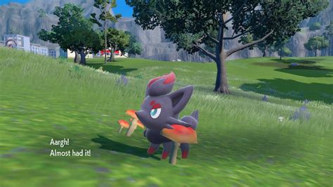 Zorua location: Where to catch Zorua Pokemon Scarlet and Violet | VGC