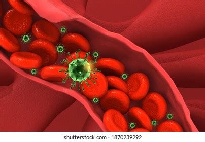 Virus Infecting Blood Cells Veinblood Stream Stock Illustration