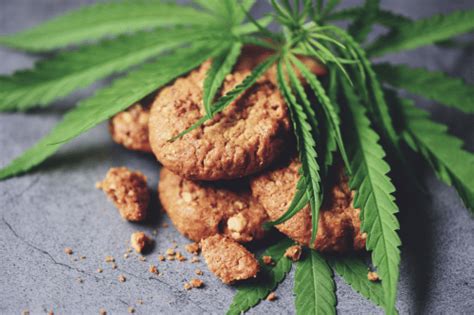 Do Edibles Show Up in Drug Tests? A Guide to Cannabis Detection