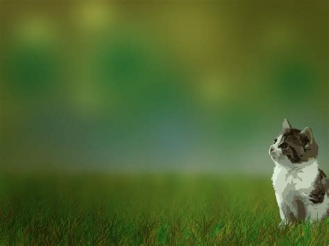 gambar wallpapers computer wallpapersafari