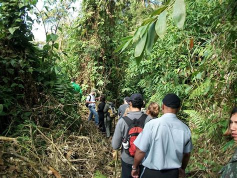 Portal de Caraguá Parque Estadual da Serra do Mar realiza trilha noturna