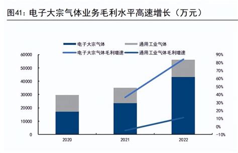 2023年广钢气体研究报告：国内电子大宗气体龙头，发力布局电子特气业务 报告精读 未来智库