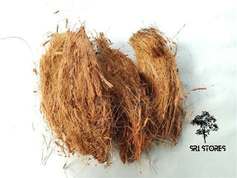 G Natural Coconut Husk Fiber Natural Growing Media Etsy